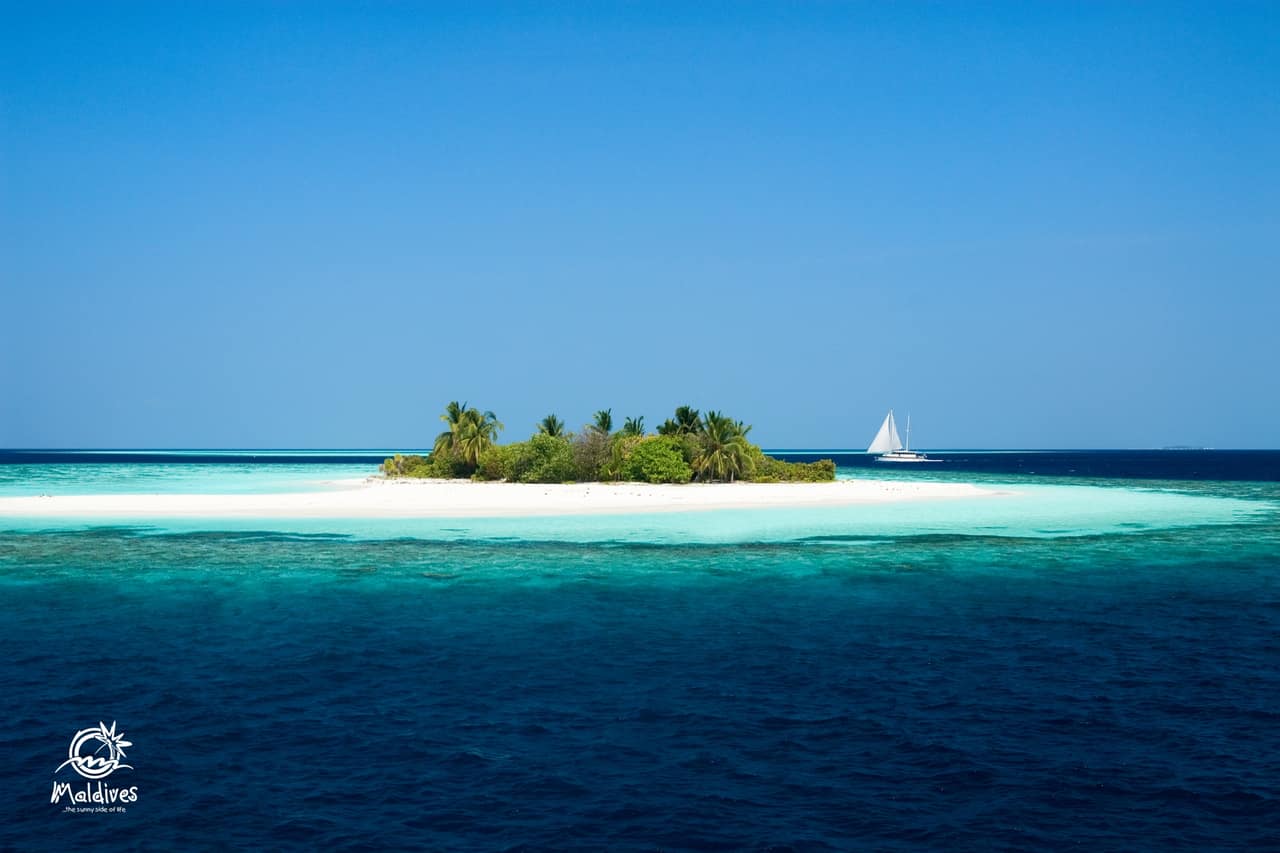 Surfing Spots
