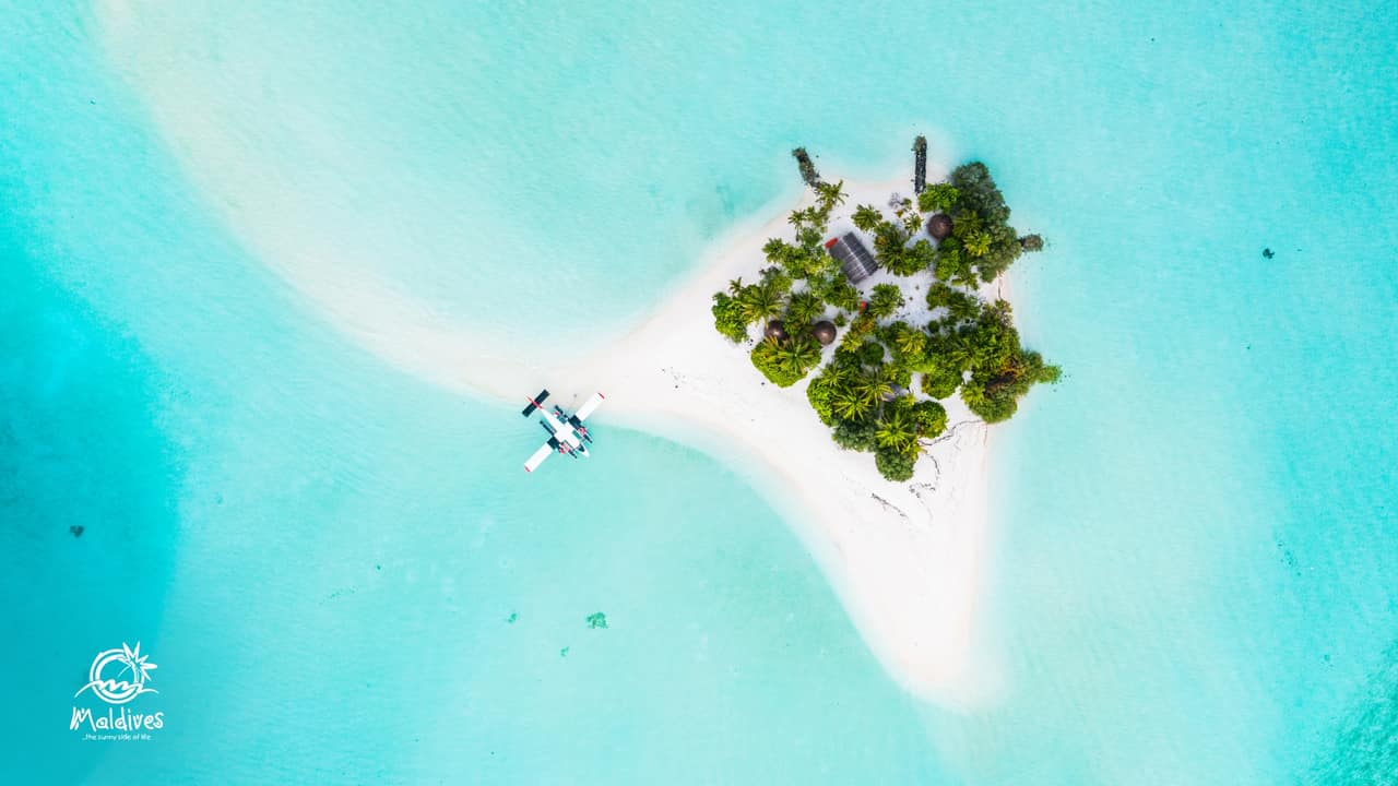 Diving Spots